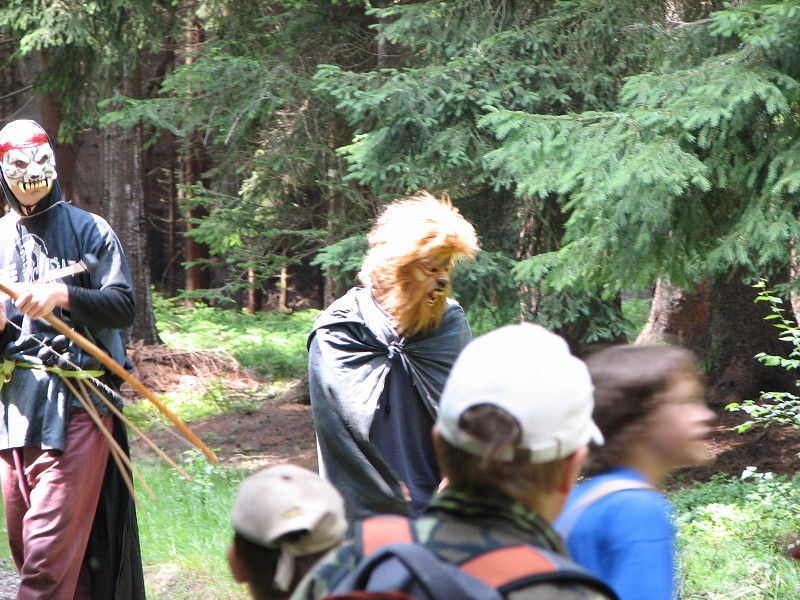 Kancodlaky - Den tinct